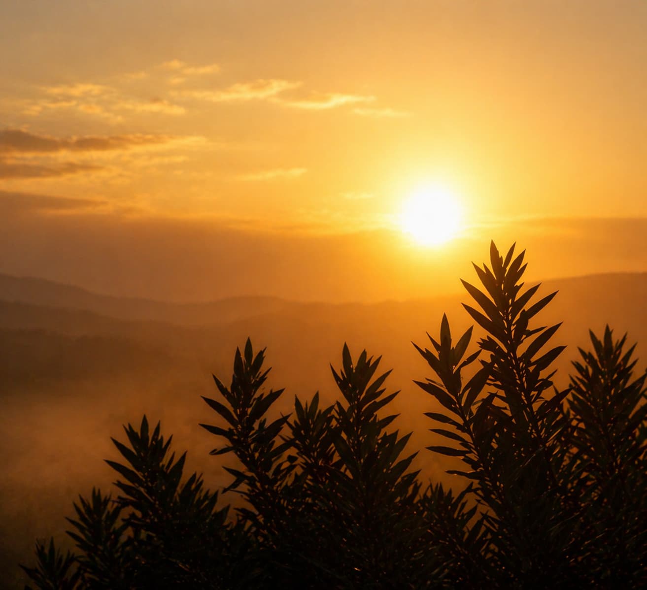 Sunrise over a peaceful natural landscape