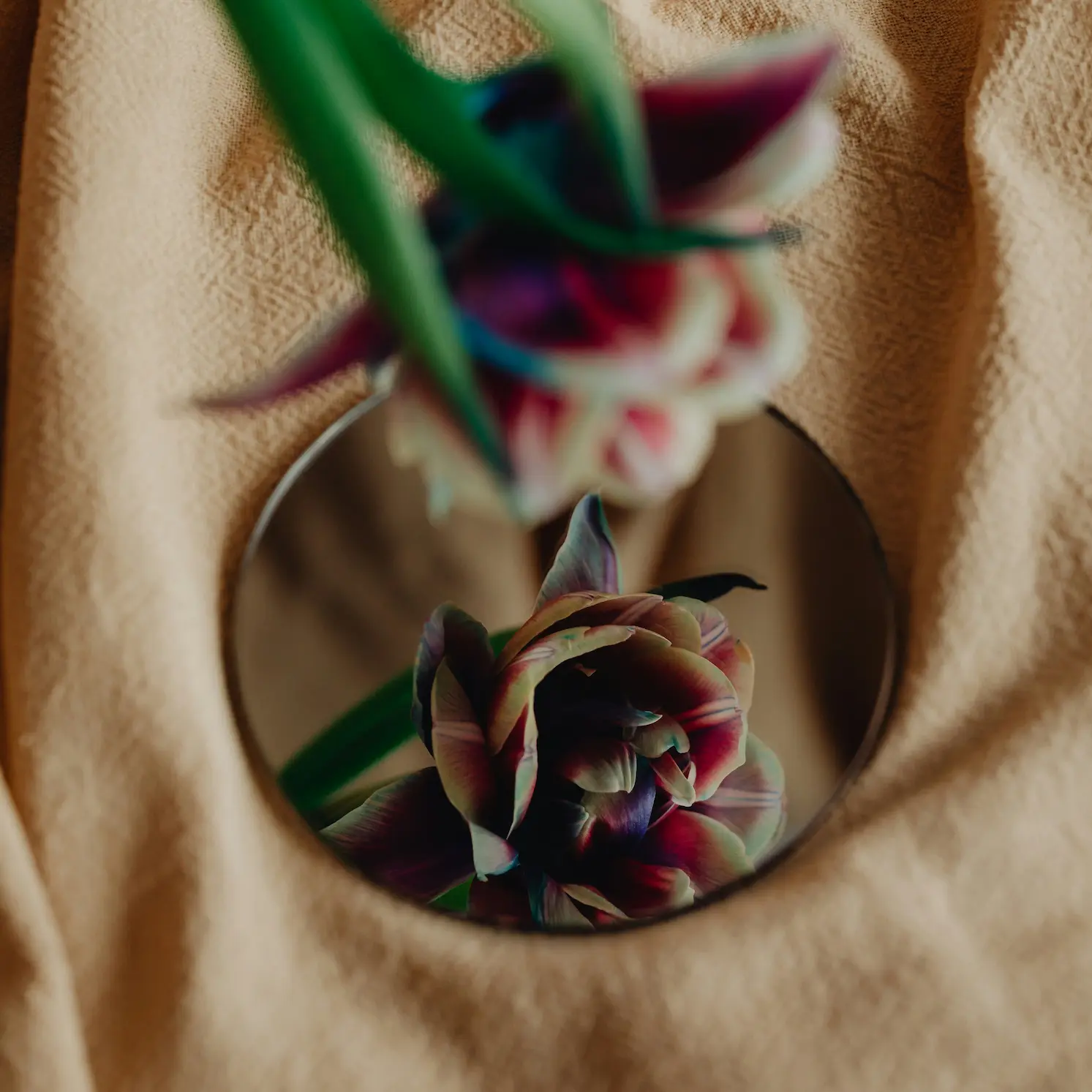 karolina-grabowska-h7wE1CKtnOU-unsplash Flower reflected in a round mirror on soft linen