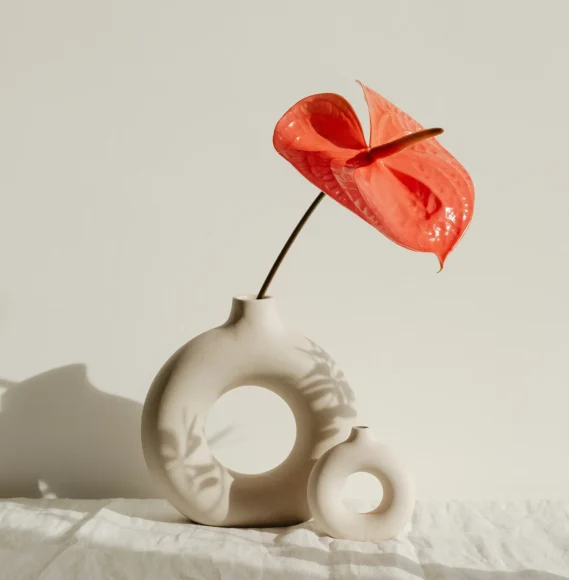 karolina-grabowska-HRWfDzj_rQw-unsplash Minimal floral arrangement in a ceramic vase